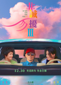 久久亚洲精品视频