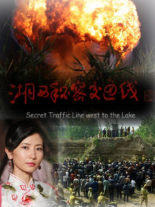 久久精品国产免费中文