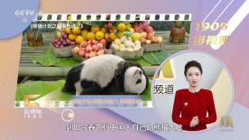 成人不卡