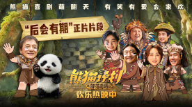 国产精品亚洲一区二区三区在线观看